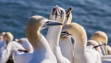 丽江2026年最新杭州高端商务伴游招聘网渠道分享(最方便真实的丽江茉莉伴游伴游天下全国联盟方法)