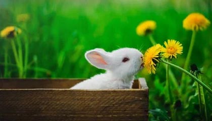 丽江2026年最新北京商务伴游经纪招聘渠道分享(最方便真实的丽江北京爱特博旅运服务有限责任公司招聘方法)