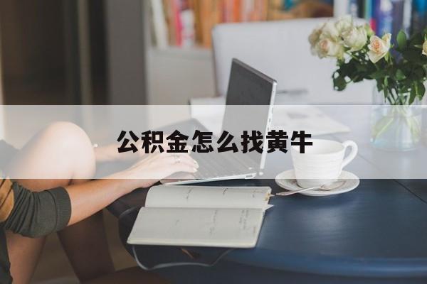 最新公积金怎么找黄牛方法分析(最方便真实的丽江找黄牛公积金提取流程方法)